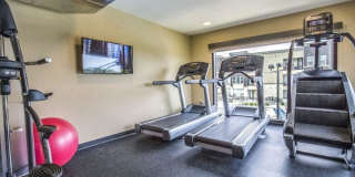 Alinea at Town and Country Gallery 40