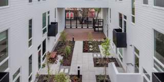 Henry Gallery 10