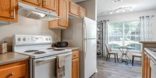 Monterey Village Gallery 23