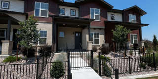 Mangold831 (KC-LN) Gallery 4