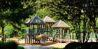 Walton Grove Gallery 12