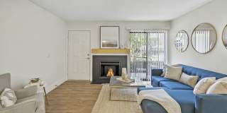 The Club at Town Center Gallery 11