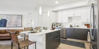 Avida Aventura Gallery 5