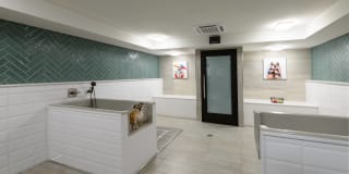 The Point at Exton Gallery 20