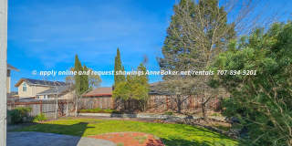 Recently Updated - Newer Appliances, Flooring, Fixtures - 3-Car Garage - Windsor Gallery 22