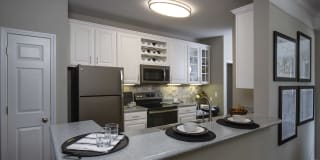 Lake Clearwater Gallery 20