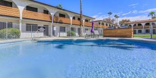 Aster on University Gallery 6