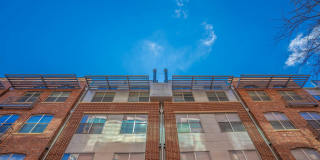 The Griffin Gallery 25