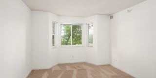Cityscape Apartments Gallery 11