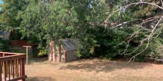 Mid-Town Single Family Home w/ Spacious Fenced Yard Gallery 30