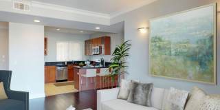 Vista Paradiso Gallery 13