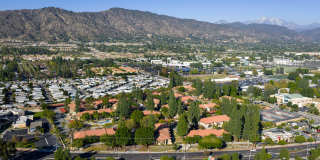 Citrus Place Gallery 72