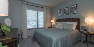 Mariner Grove Gallery 26