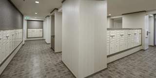 Lilia Waikiki Gallery 18