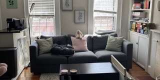 44 Melrose St Gallery 8