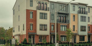 1004 Ribbon Limestone Ter SE Gallery 1