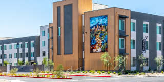 Birchway Tropicana Gallery 27
