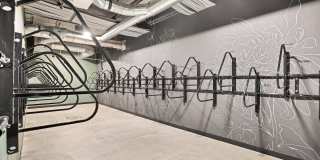 Amara Gallery 15