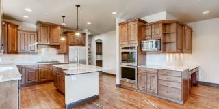 1696 Avenida Del Sol, Castle Rock, CO Gallery 11