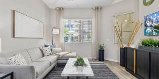 Axis Camelback Gallery 6