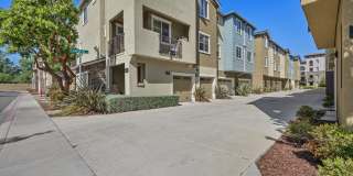1405 Coyote Creek Way Gallery 1