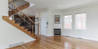 133 SALTER STREET Gallery 6