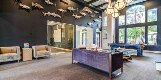 Elan Oceano Gallery 11