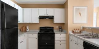 Ashford Place Ashford Place Gallery 12