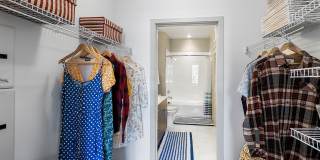 Cadence at Crown Apartments Gallery 10