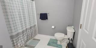 42219 BLACK ROCK Terrace Gallery 19