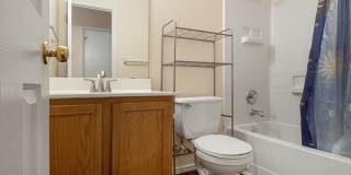 Delightful & Convenient 3 Bedroom, 2 Bath Home in Pflugerville Gallery 16
