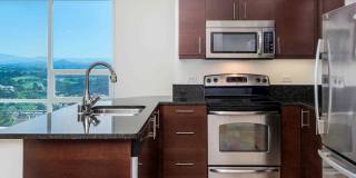 Vantage Pointe Gallery 44