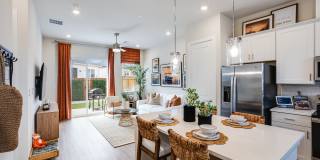 Yardly Elm Gallery 13