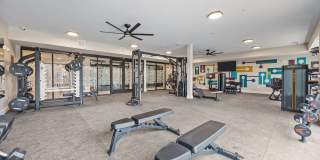 Adler Montford Park Gallery 57