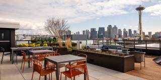 Center Steps Center Steps Gallery 9