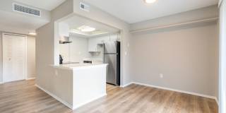 Venue at Winter Park Gallery 55