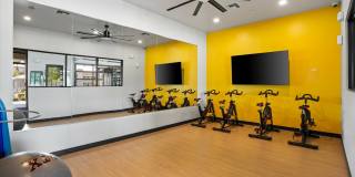 Acero at Algodon Center Gallery 25