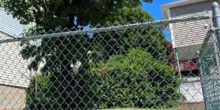 140 Westervelt Avenue Gallery 19