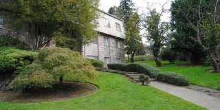 Fir Terrace Gallery 6