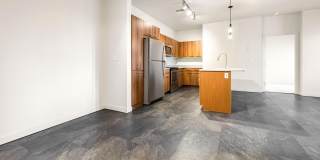 Olympus Alameda Gallery 14