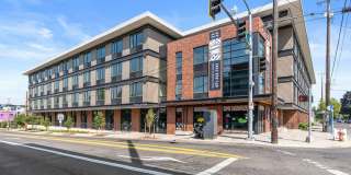 The Fifty at Division Gallery 28