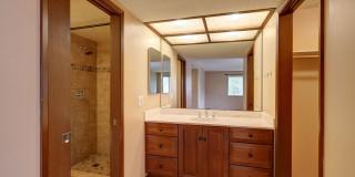 Bright spacious 4-bedroom 2.5 bath home in Bellevue Gallery 14