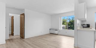 Manzanita Woods Gallery 1