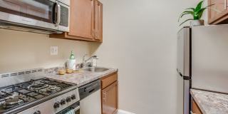 2231 Ontario Gallery 2