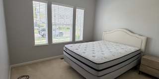 7231 Winterbek Avenue Gallery 11