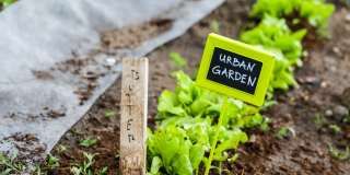 Bent Tree Gallery 25