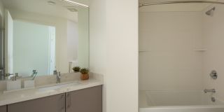 The Merian Gallery 99