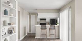 Cielo on Gilbert Gallery 5