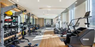 Northshore Gallery 12