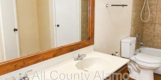 11782 Spring Song Gallery 13